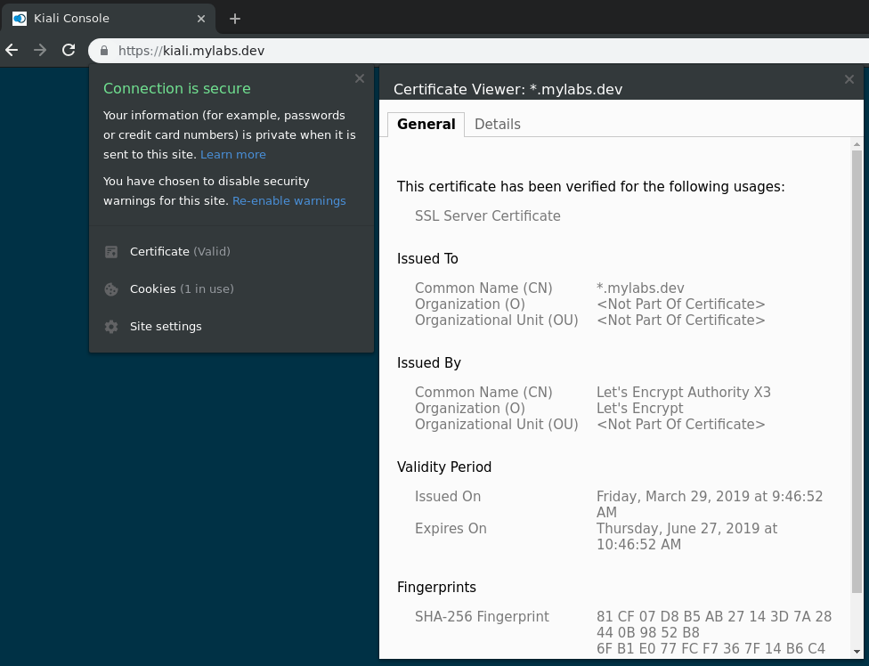 Kiali SSL Certificate displayed in browser
